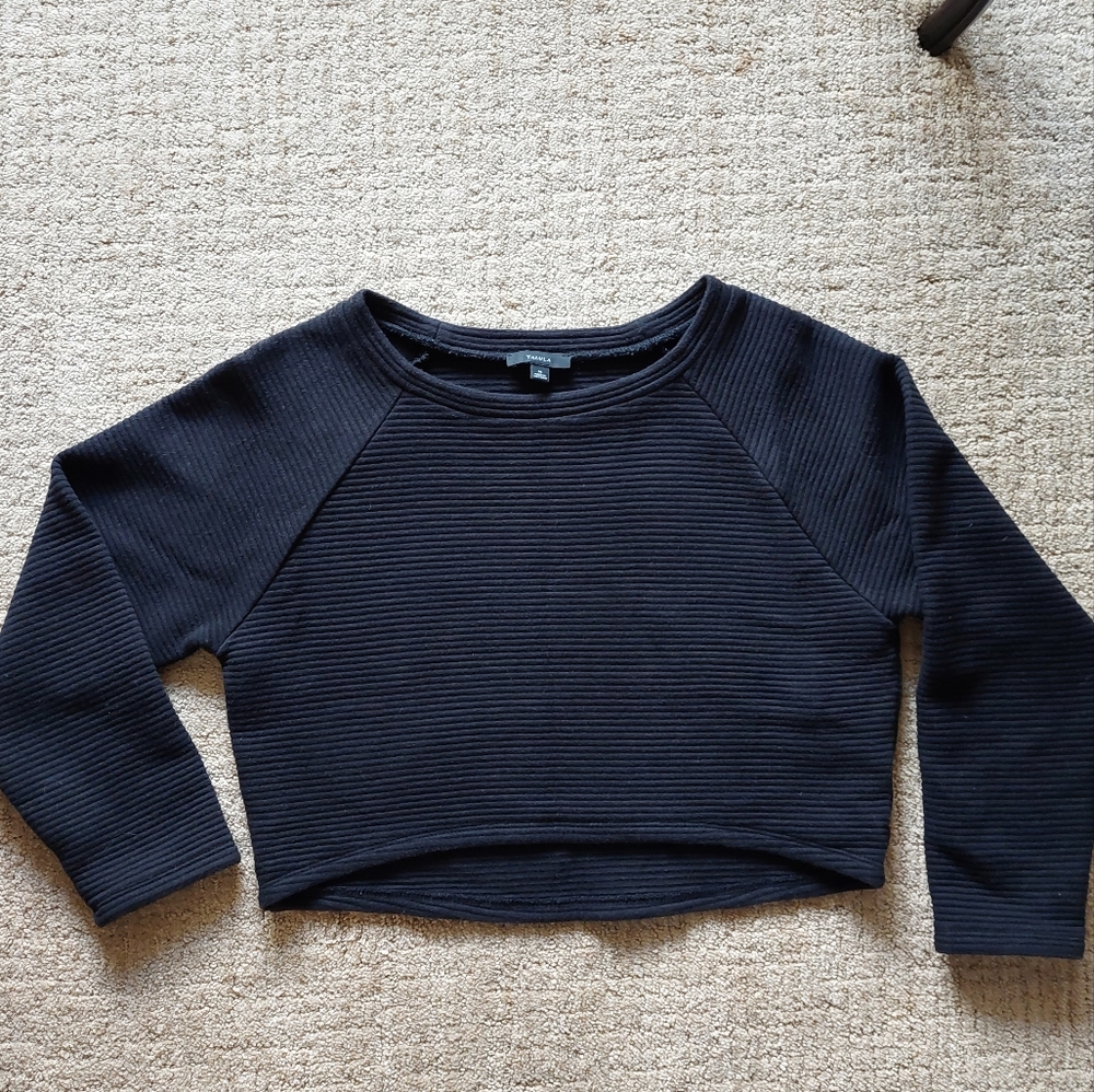 Aritzia Talula Black Ribbed Crop Top